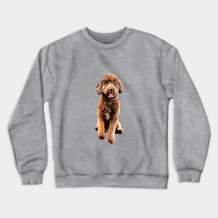 Mini Goldendoodle Doodle Dog Crewneck Sweatshirt